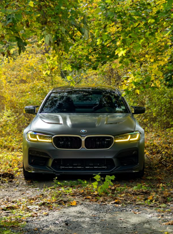BMW M5 in autumn